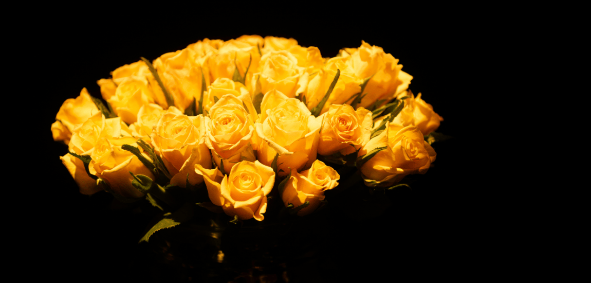 yellow roses Salon 2025 1150 x 550px