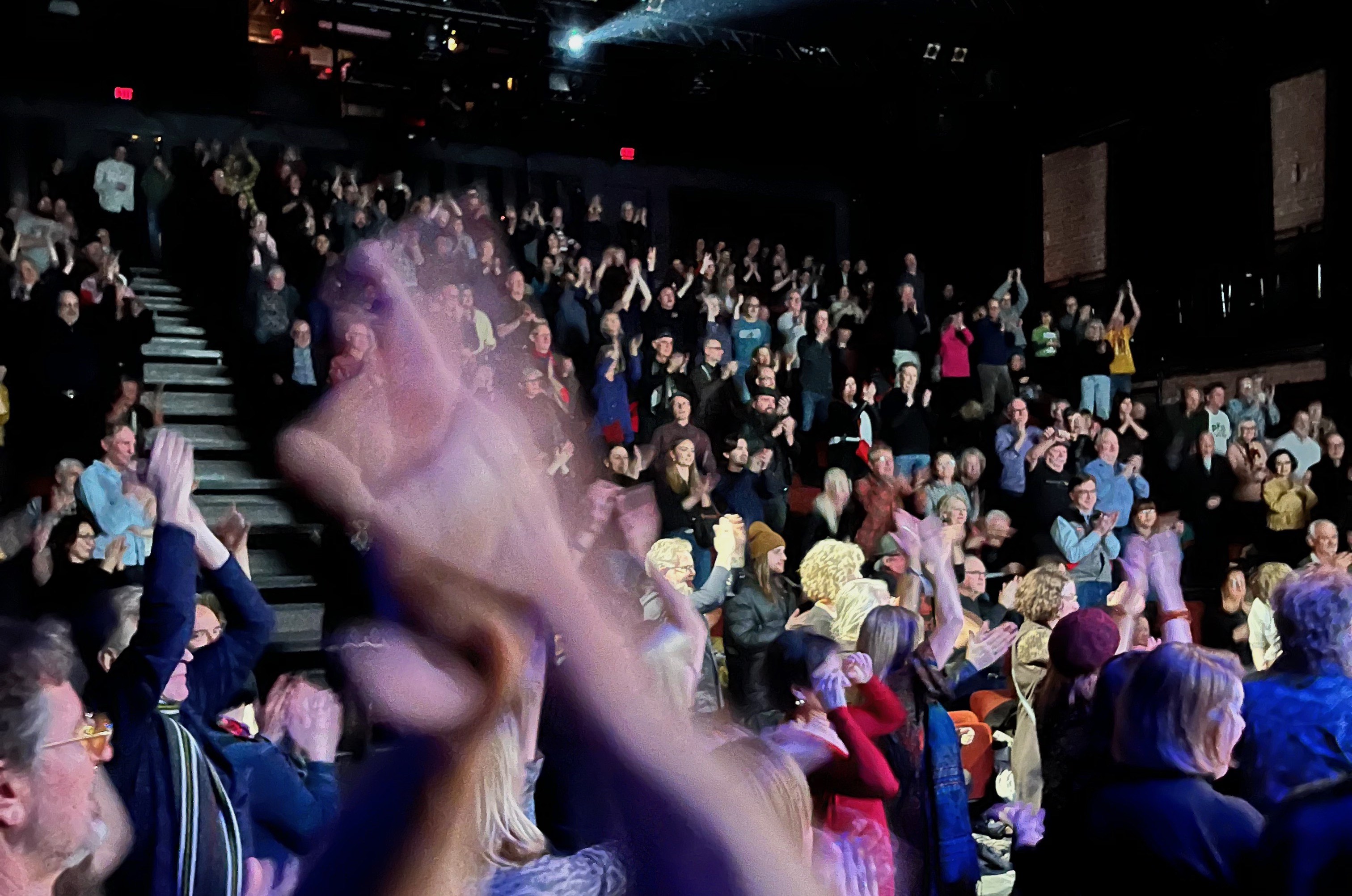 Audience Applauding cropped