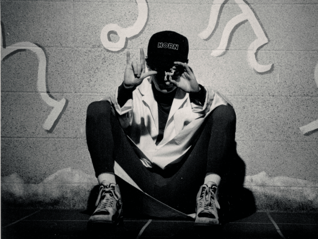 The Land The Animals 1600 x 1260 